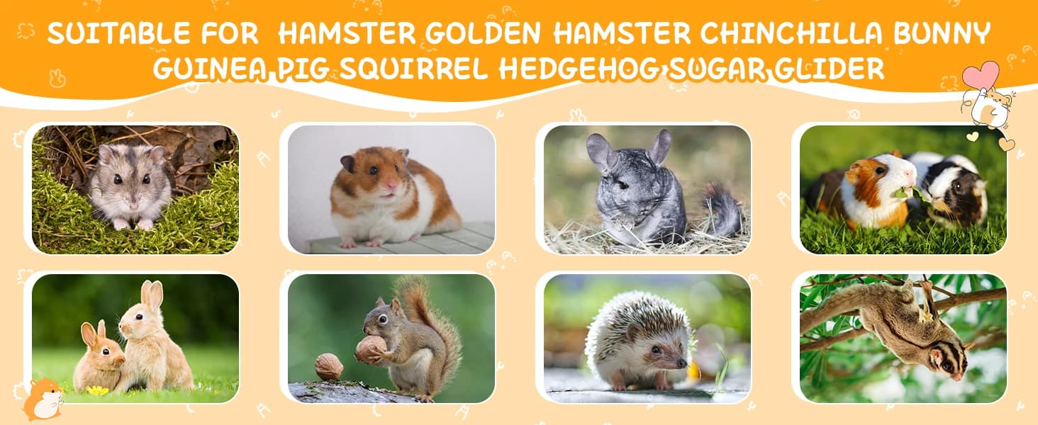 40 PCS Hamster Toys Set — Guinea Pig Toys Enrichment Hamster Tubes and Tunnels — product details