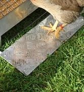Grandpas Feeders Automatic Chicken Feeder - 20 lbs No Waste Poultry Feeder — collection imagery
