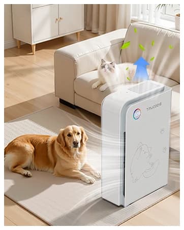 Large Pet Air Purifier for Home up to 3000 Ft² — collection imagery